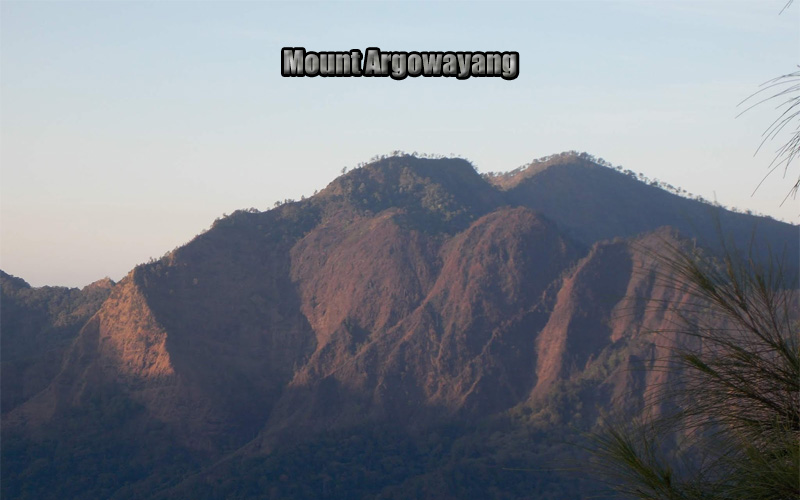 Gunung Argowayang Permata Tersembunyi di Jawa Timur