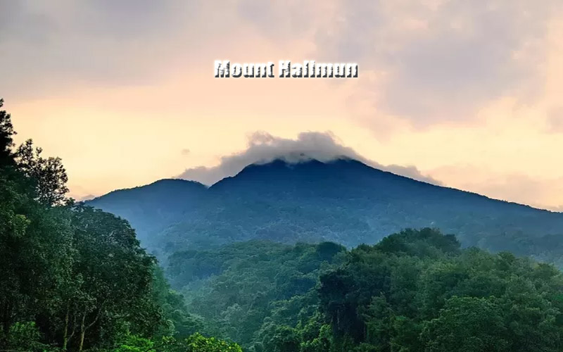 Gunung Halimun Keindahan Alam Luar Biasa di Jawa Barat