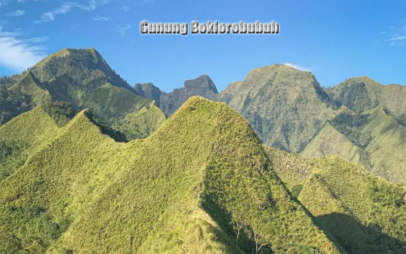 Gunung Boklorobubuh Keindahan Tersembunyi Jawa Timur