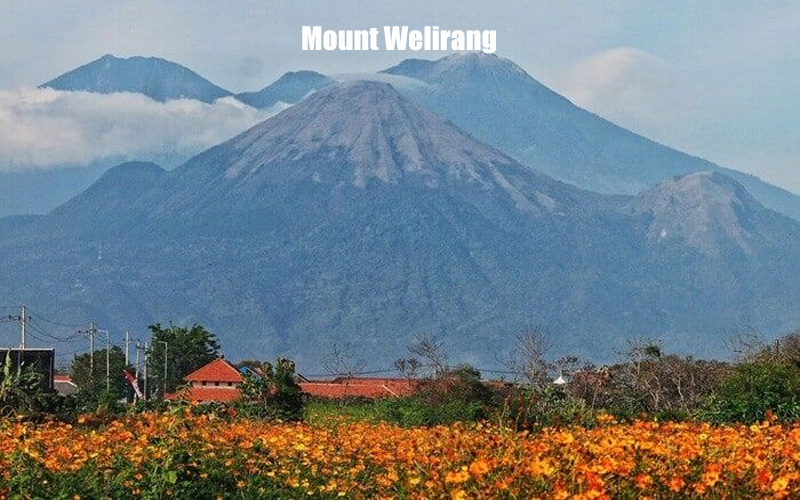 Keindahan dan Alam Gunung Welirang Jawa Timur