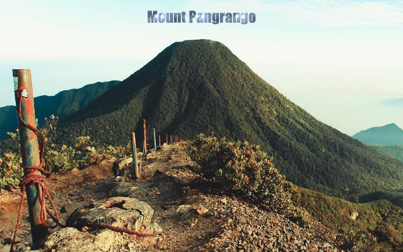 Gunung Pangrango Keindahan Alam dan Tantangan Pendakian