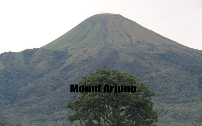 Gunung Arjuno Keindahan dan Tantangan di Jawa Timur