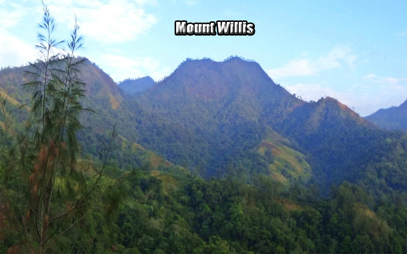 Gunung Wilis Keindahan Alam dan Misteri di Balik Hutan Tropis