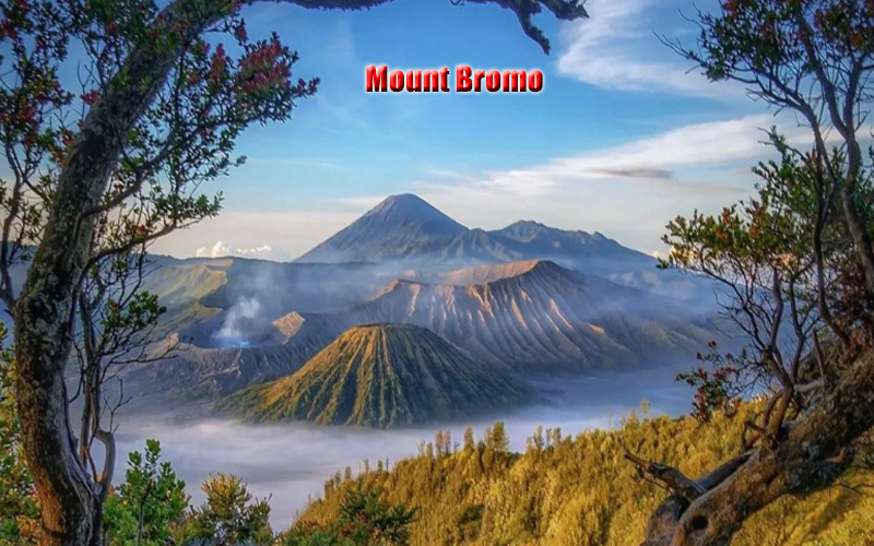 Gunung Bromo Pesona Alam dan Keindahan di Jawa Timur