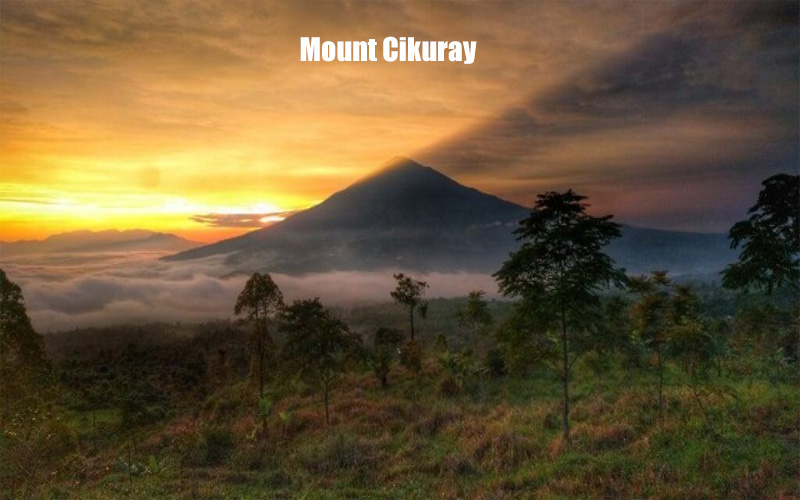 Gunung Cikuray Petualangan di Puncak Tertinggi Garut