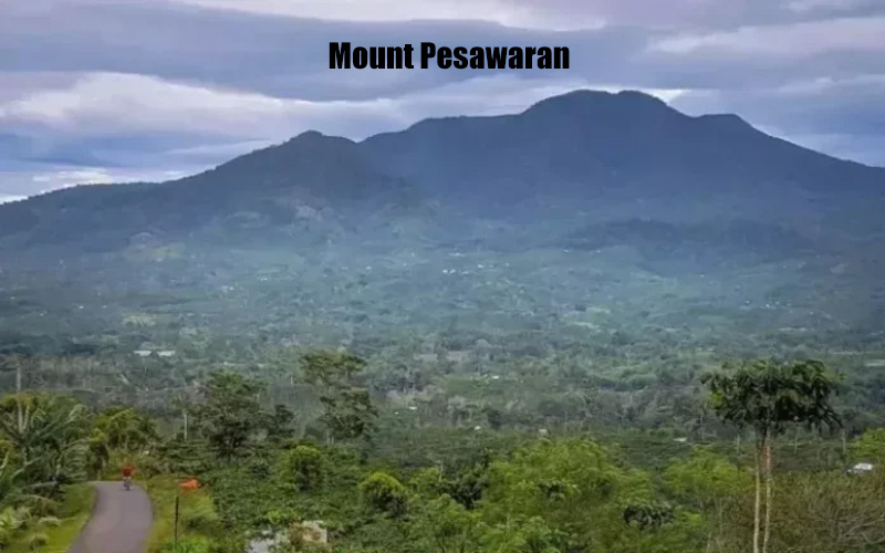 Gunung Pesawaran Keindahan Alam di Lampung