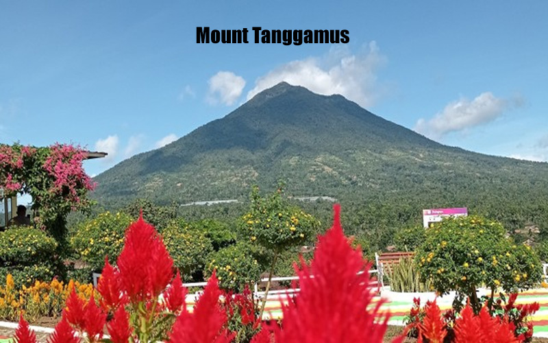 Gunung Tanggamus Keindahan Alam dan Keberagaman Hayati