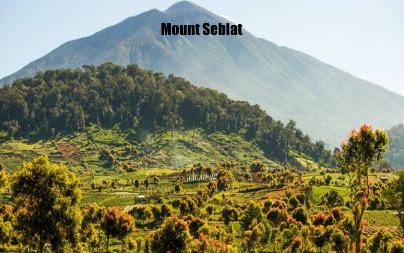 Gunung Seblat Keindahan Alam dan Keanekaragaman Hayati