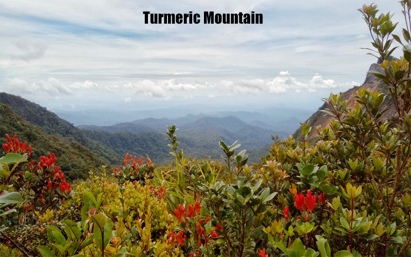 Gunung Kunyit Keindahan dan Keunikan Gunung Berapi Sumatera