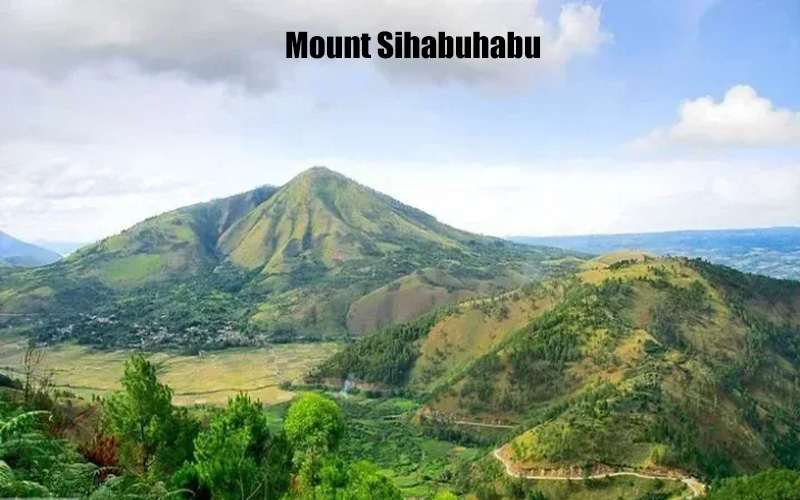 Gunung Sihabuhabu Keindahan Alam Flora & Fauna