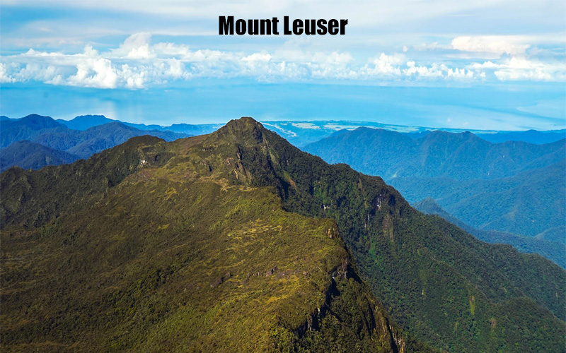 Gunung Leuser Aceh Permata Ekologi di Sumatra