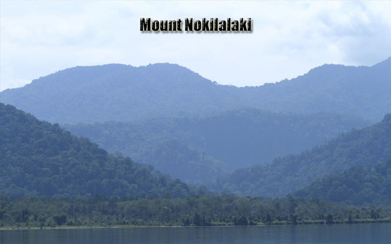 Gunung Nokilalaki Permata Alam di Sulawesi Tengah