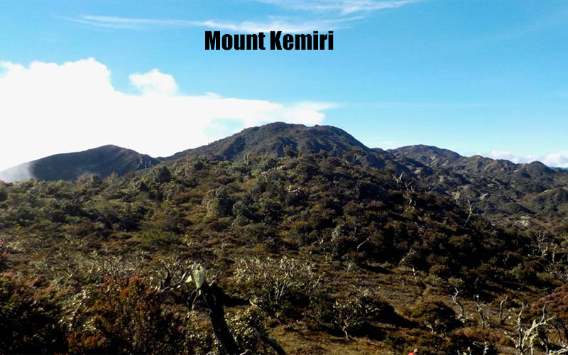 Gunung Kemiri Keindahan Tersembunyi di Jantung Leuser