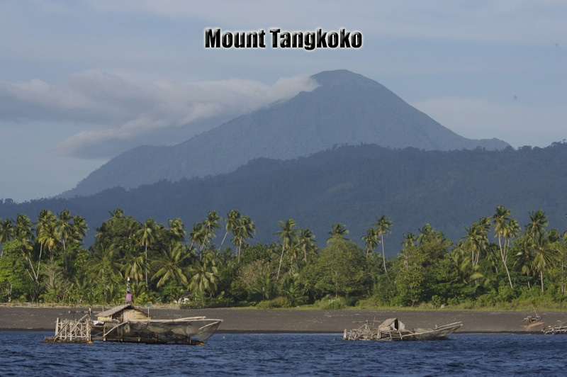 Gunung Tangkoko Surga Alam di Sulawesi Utara