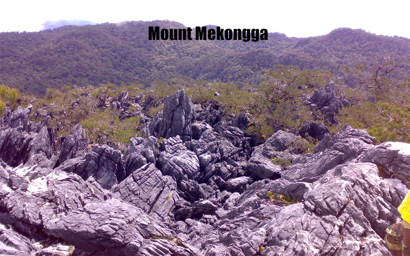 Gunung Mekongga Puncak Tertinggi di Sulawesi Tenggara