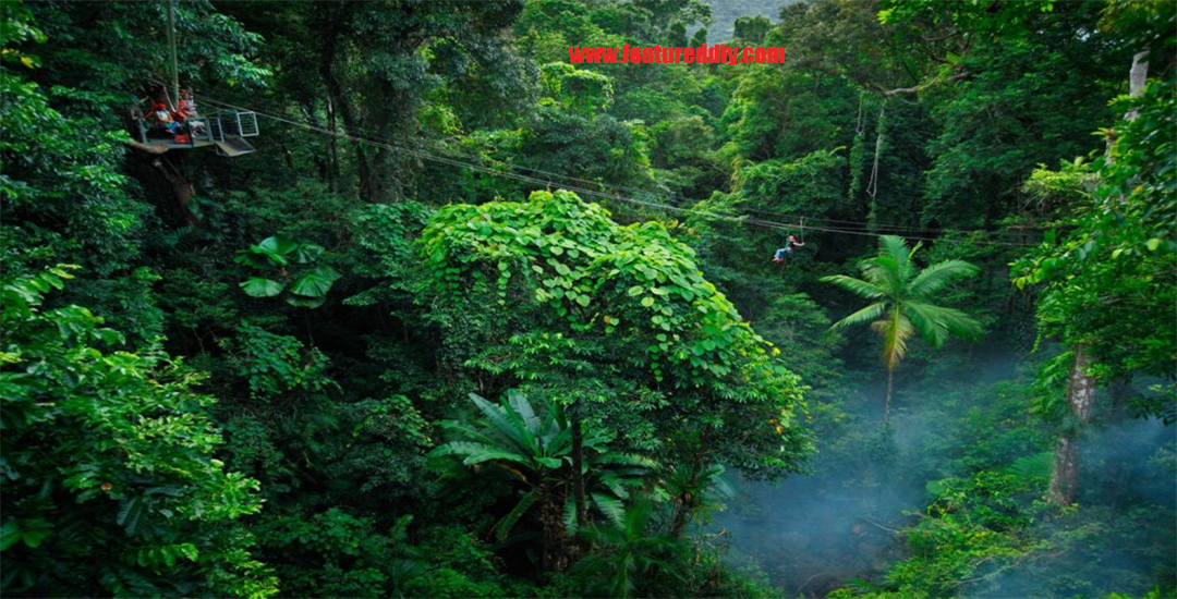 Hutan Lindung Benteng Terakhir