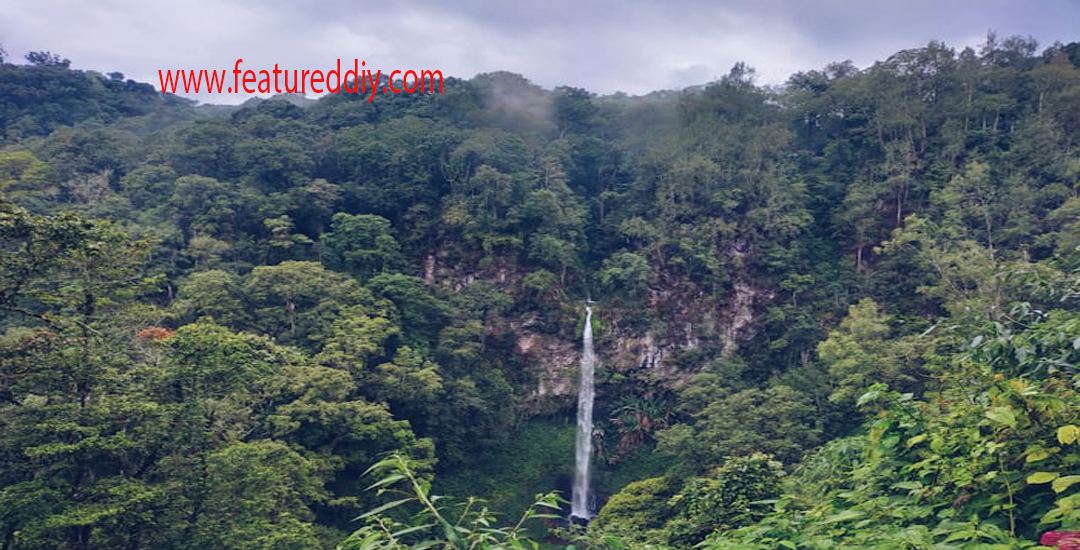 Hutan Rimba Keajaiban Alam