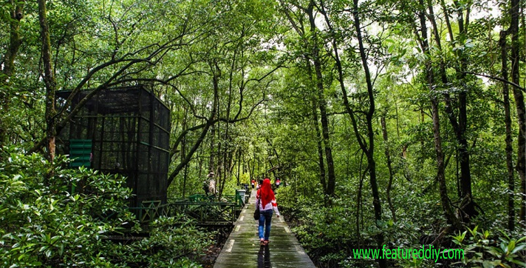 Hutan di Seluruh Dunia