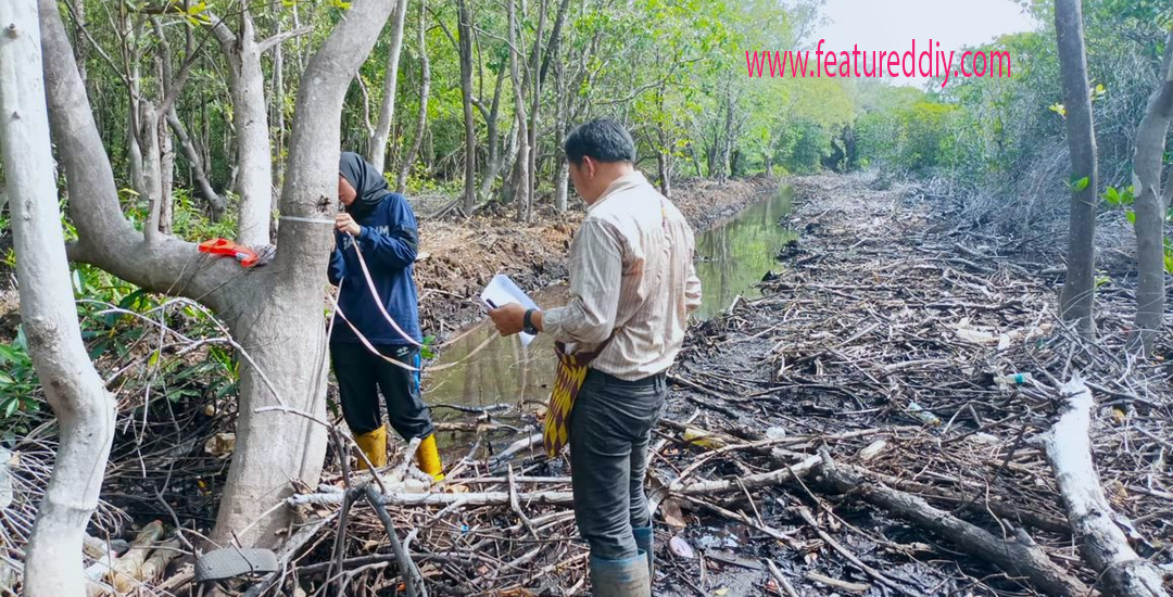 Jumlah Hutan Mangrove Kritis